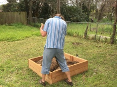 Filling the raised bed.